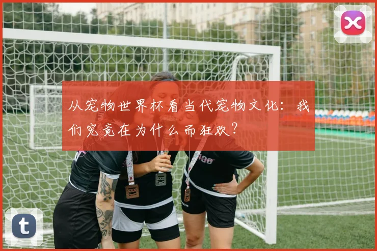 从宠物世界杯看当代宠物文化：我们究竟在为什么而狂欢？