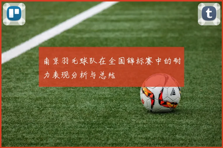 南京羽毛球队在全国锦标赛中的耐力表现分析与总结